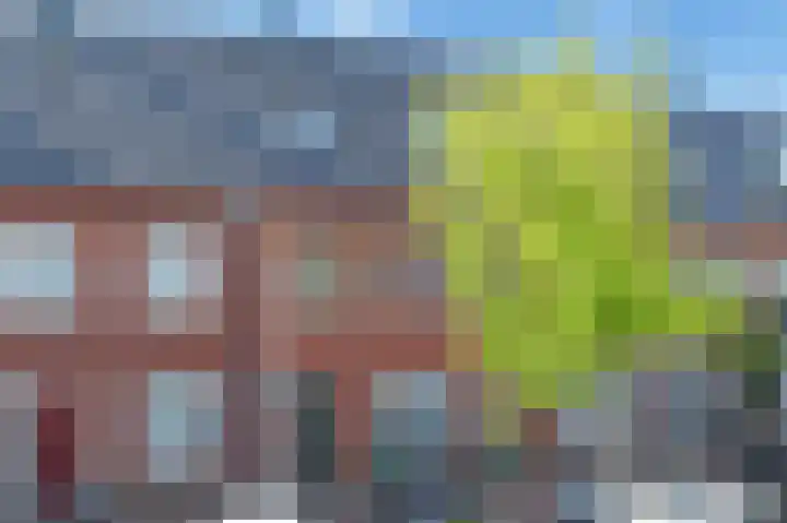 Weegbree 123 Pijnacker thumbnail 58