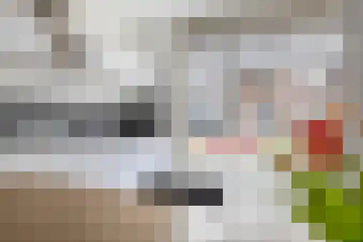 Weegbree 125 Pijnacker thumbnail 11