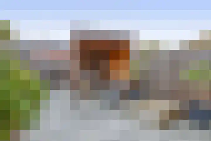 Weegbree 125 Pijnacker thumbnail 14