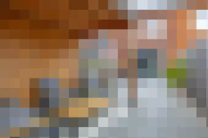 Weegbree 125 Pijnacker thumbnail 16