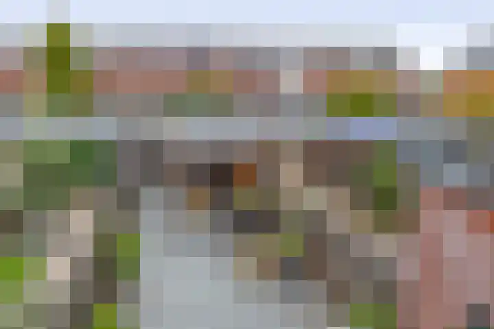 Weegbree 125 Pijnacker thumbnail 17