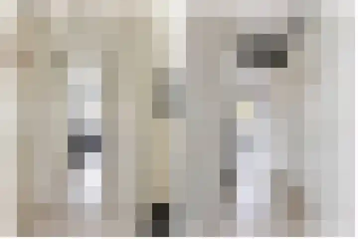 Weegbree 125 Pijnacker thumbnail 22