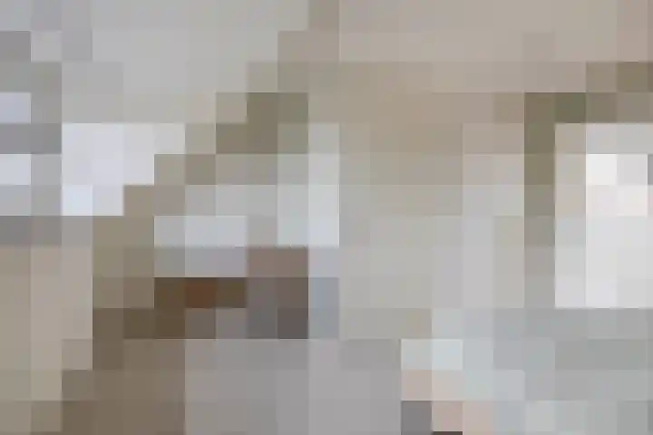 Weegbree 125 Pijnacker thumbnail 31