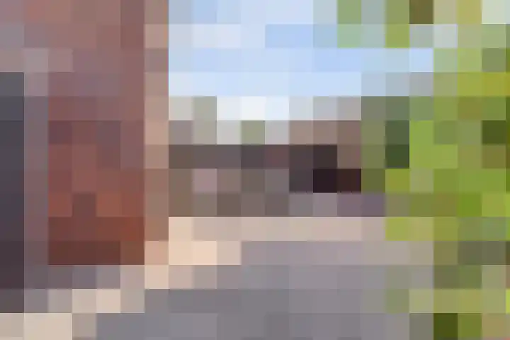 Weegbree 125 Pijnacker thumbnail 36