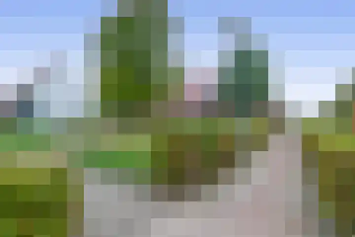Weegbree 125 Pijnacker thumbnail 40
