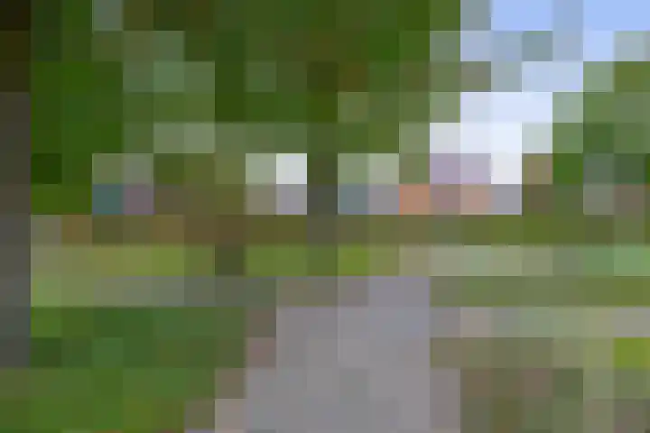 Weegbree 125 Pijnacker thumbnail 42