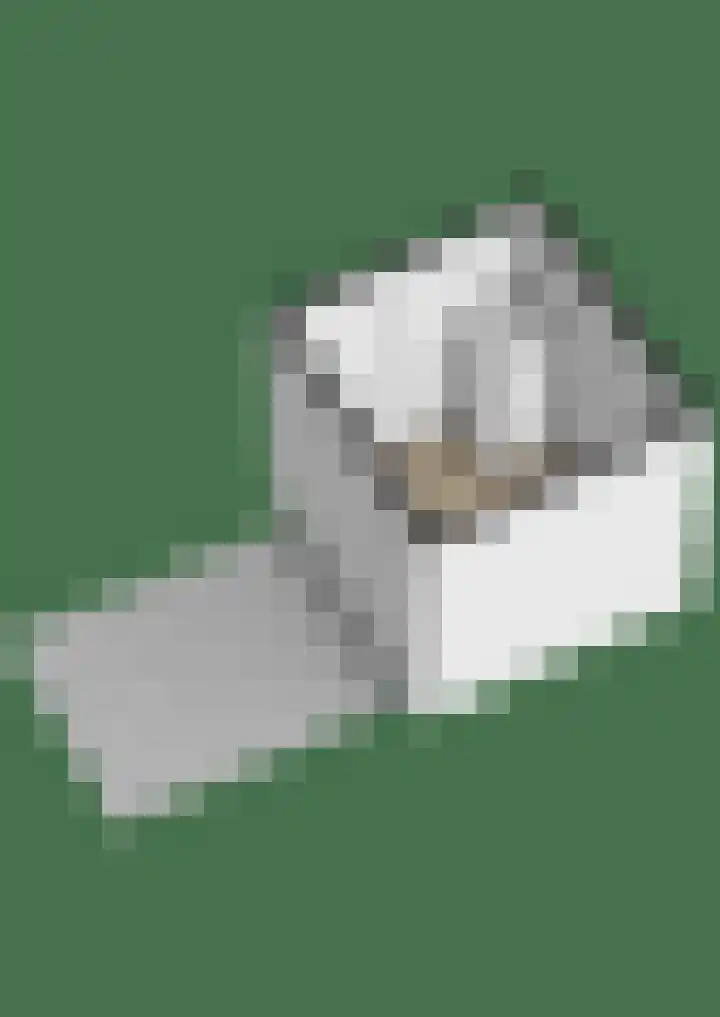 Weegbree 125 Pijnacker thumbnail 55