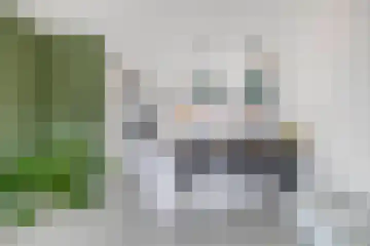 Weegbree 125 Pijnacker thumbnail 7