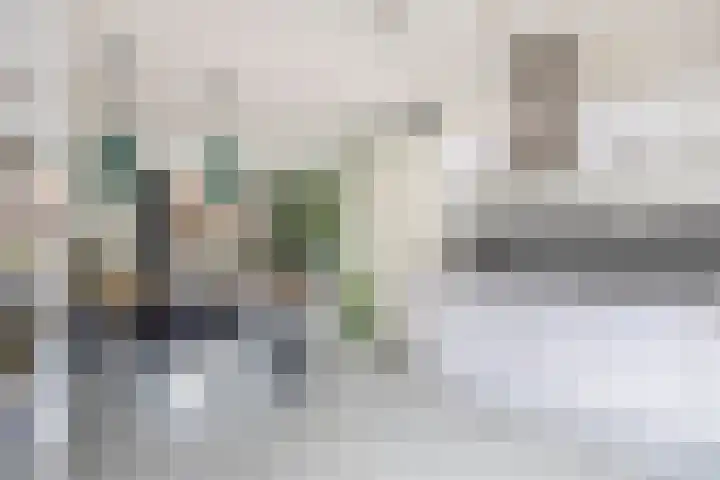 Weegbree 125 Pijnacker thumbnail 8