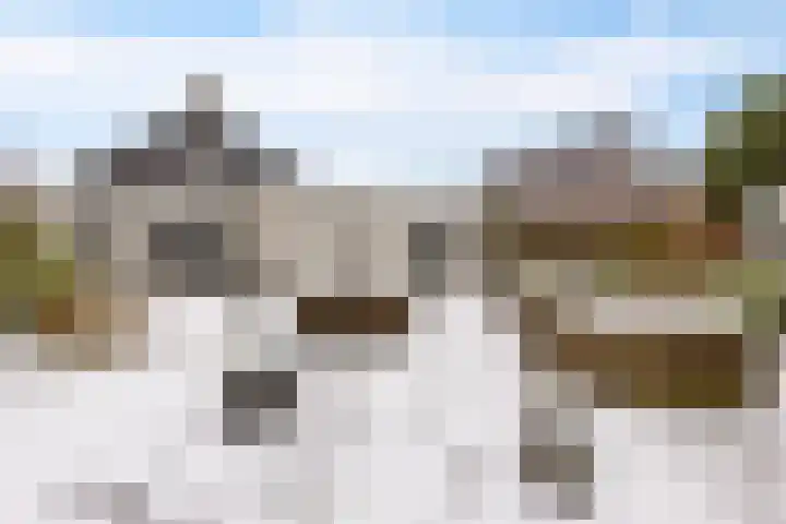 Weegbree 14 Delfzijl thumbnail 13