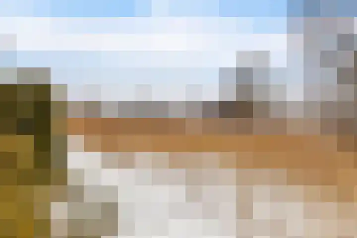 Weegbree 14 Delfzijl thumbnail 14