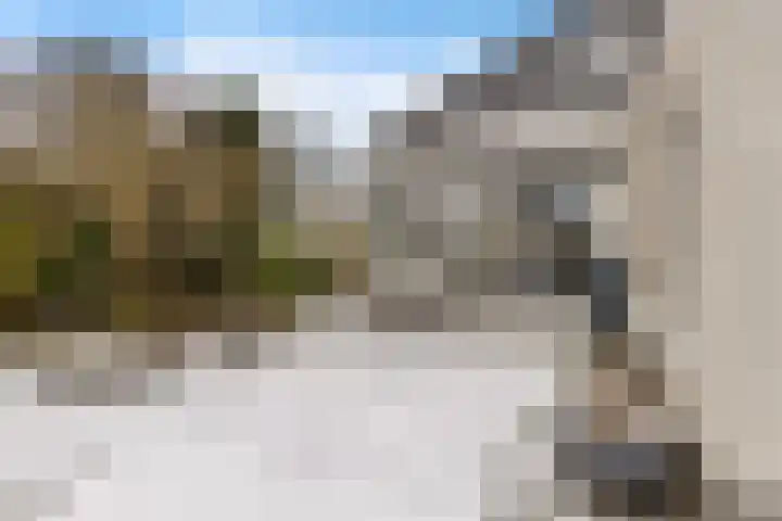 Weegbree 14 Delfzijl thumbnail 15