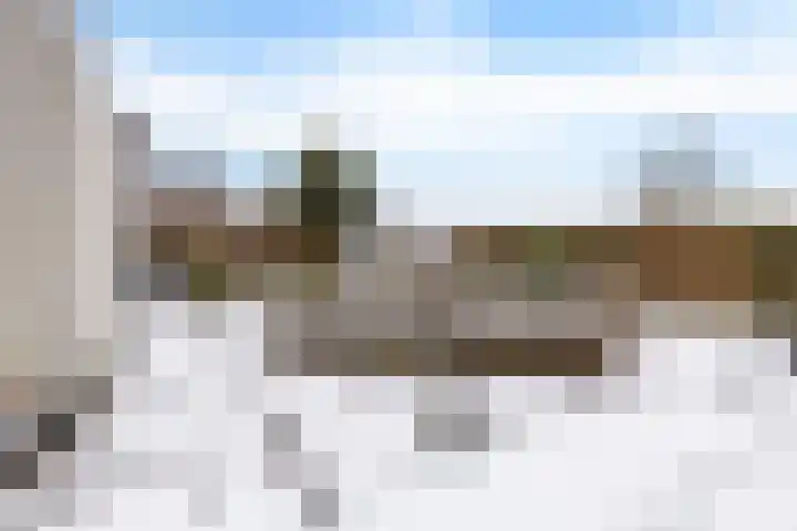 Weegbree 14 Delfzijl thumbnail 18