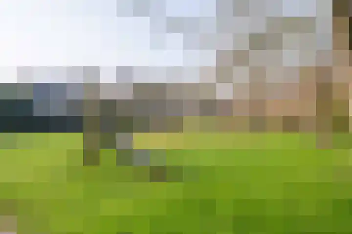 Weegbree 14 Havelte thumbnail 12