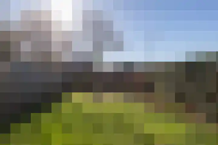 Weegbree 14 Landgraaf thumbnail 22