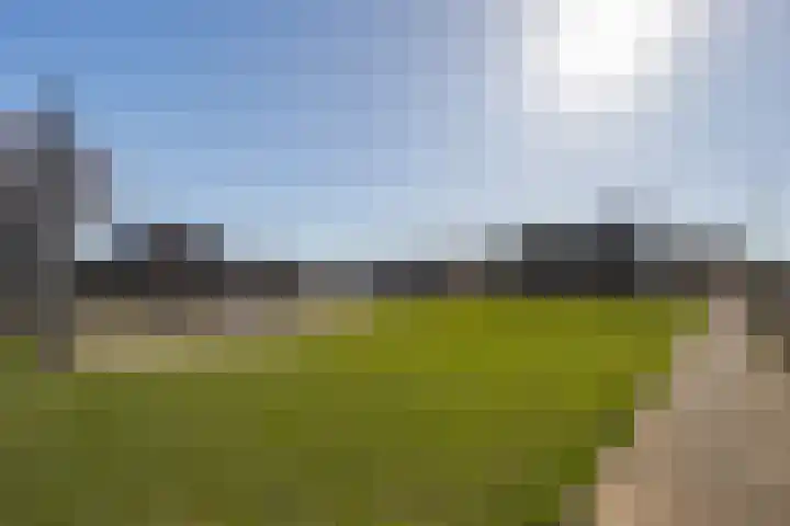 Weegbree 14 Landgraaf thumbnail 25
