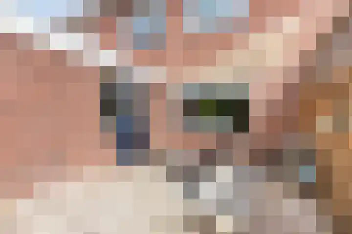 Weegbree 15 Gendringen thumbnail 36