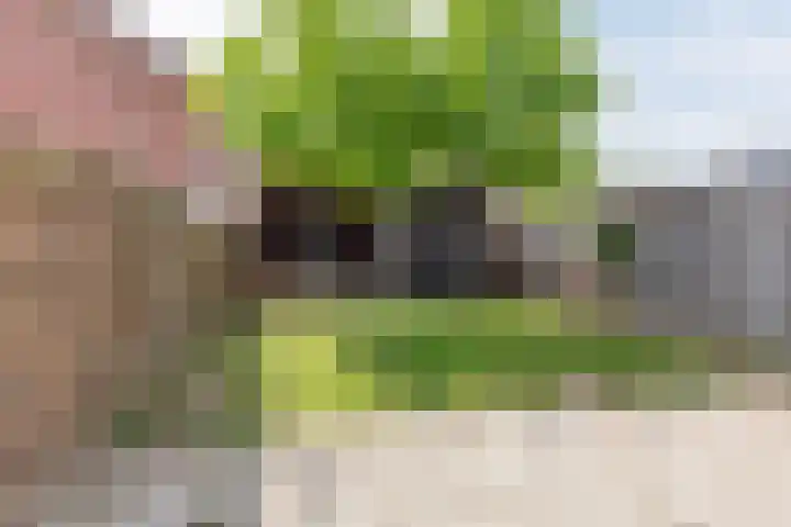Weegbree 15 Gendringen thumbnail 37