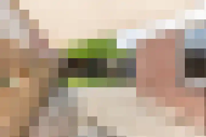 Weegbree 15 Gendringen thumbnail 4