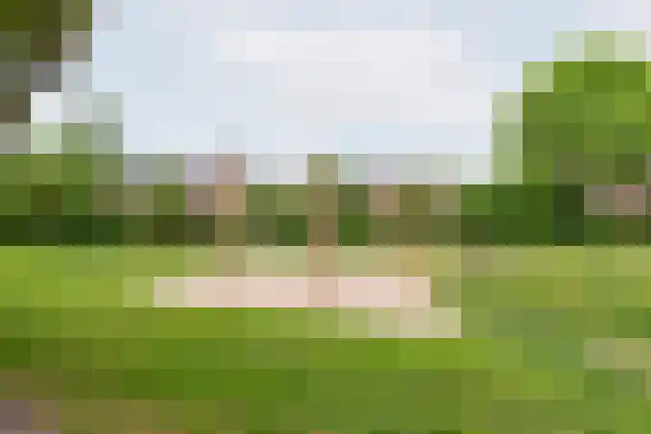 Weegbree 15 Gendringen thumbnail 44