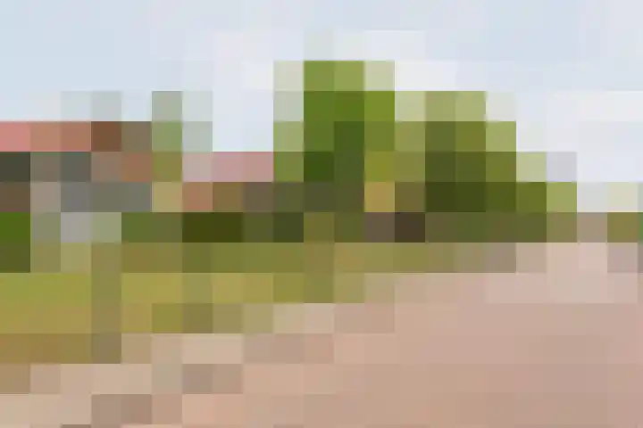 Weegbree 15 Gendringen thumbnail 45