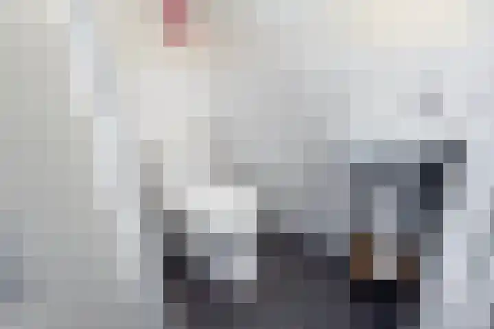 Weegbree 15 Gendringen thumbnail 8