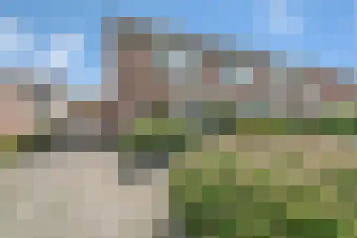 Weegbree 15 Nijverdal