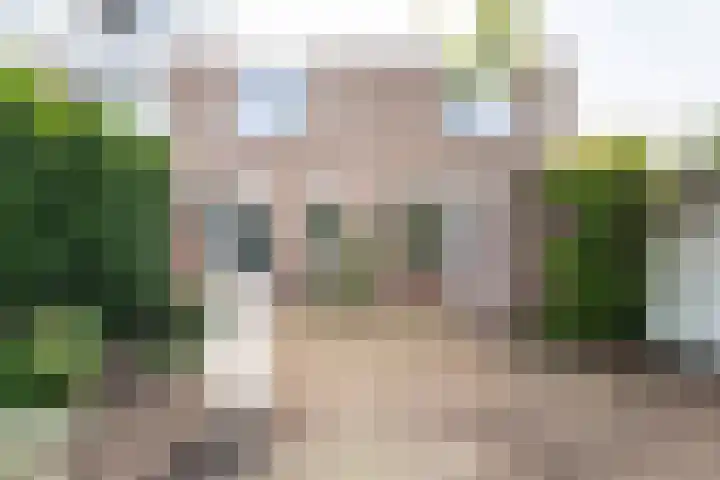Weegbree 16 in Boskoop