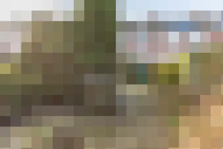 Weegbree 16 Gendringen thumbnail 37