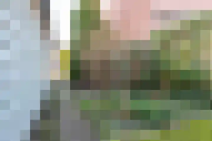 Weegbree 16 Gendringen thumbnail 40