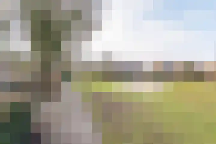 Weegbree 16 Gendringen thumbnail 42