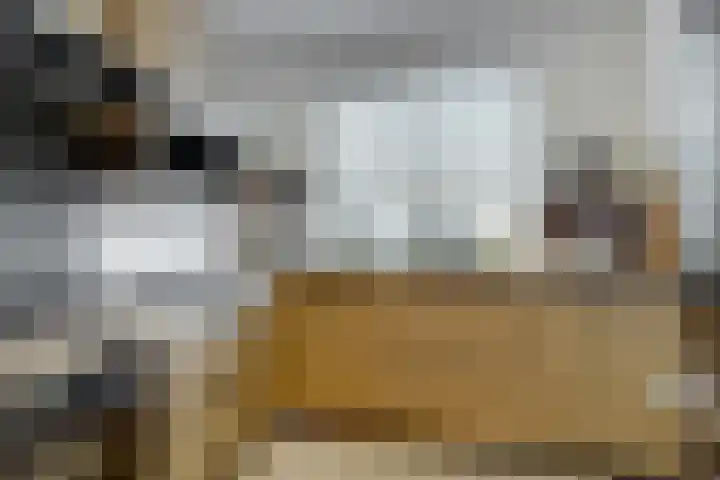 Weegbree 16 Heiloo thumbnail 15