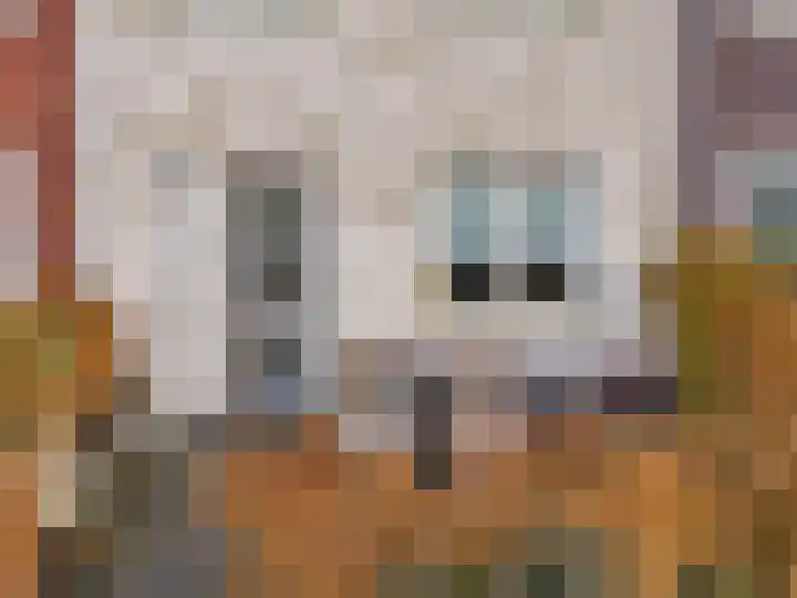Weegbree 16 Heiloo thumbnail 6