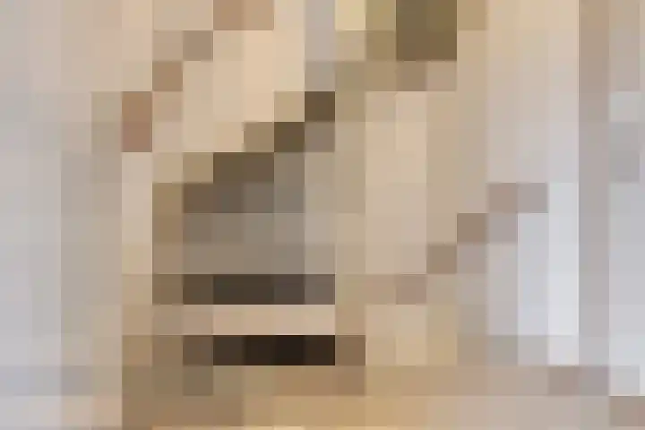 Weegbree 17 Deventer thumbnail 18