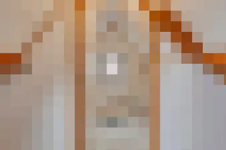 Weegbree 17 Deventer thumbnail 19