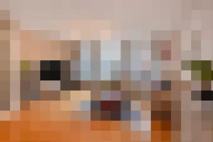 Weegbree 17 Deventer foto 2