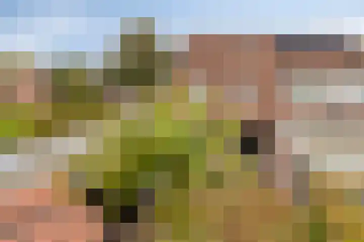 Weegbree 17 Deventer thumbnail 21