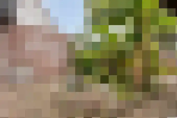 Weegbree 17 Deventer thumbnail 22