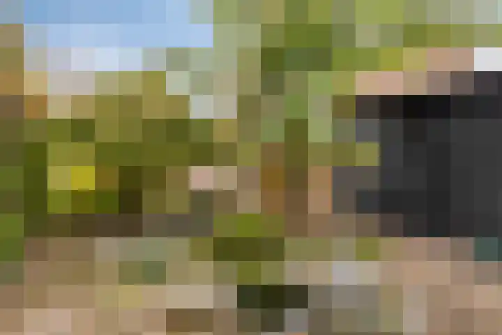 Weegbree 17 Deventer thumbnail 23
