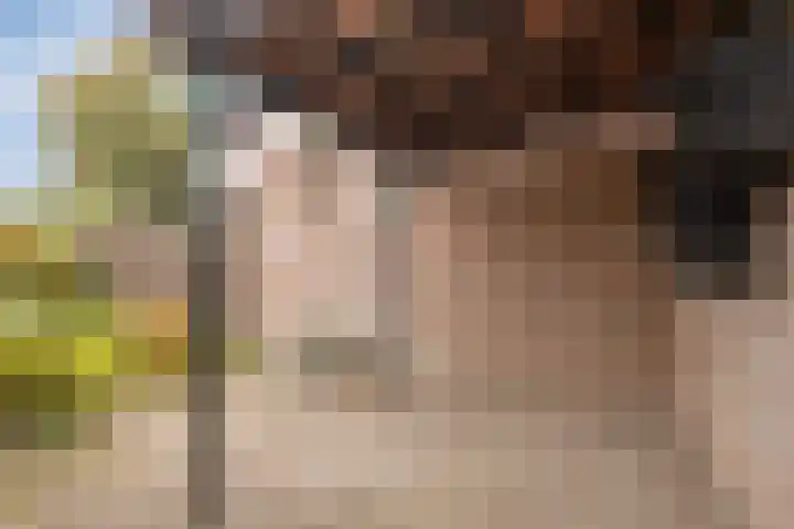 Weegbree 17 Deventer thumbnail 24