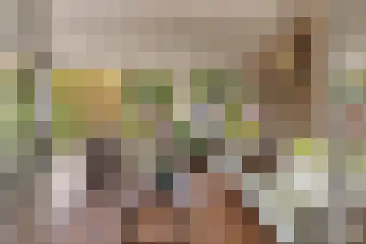 Weegbree 17 Deventer thumbnail 26