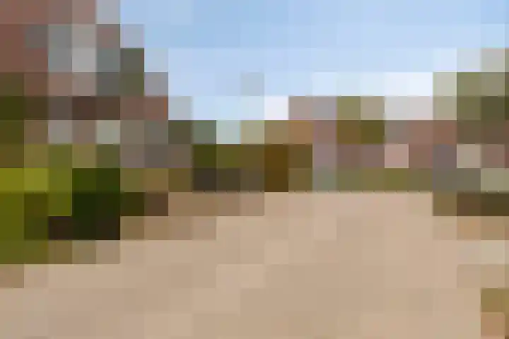 Weegbree 17 Deventer thumbnail 32