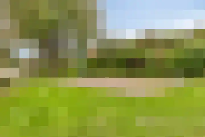 Weegbree 17 Deventer thumbnail 33