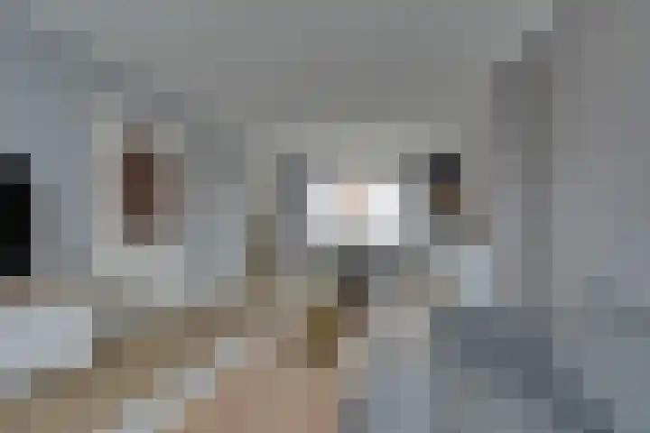 Weegbree 17 Deventer thumbnail 35