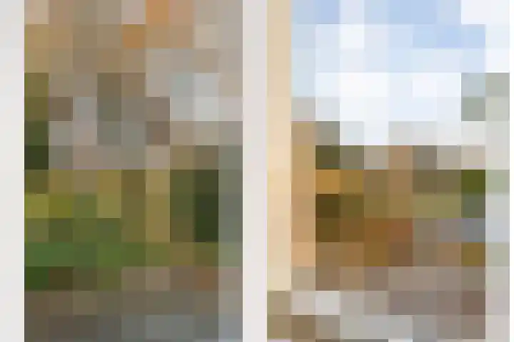 Weegbree 17 Deventer thumbnail 9