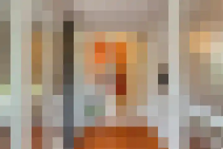 Weegbree 17 Deventer thumbnail 9