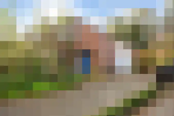 Weegbree 17 Grootegast
