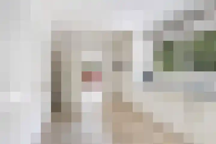 Weegbree 2 Bergambacht thumbnail 12