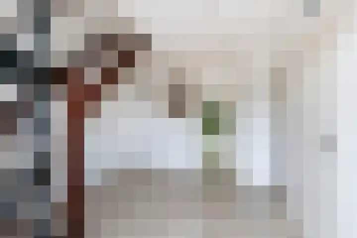 Weegbree 2 Bergambacht thumbnail 13