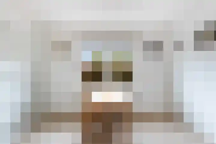 Weegbree 2 Bergambacht thumbnail 15
